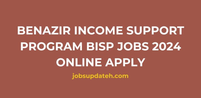 Benazir Income Support Program BISP Jobs 2024 Online Apply