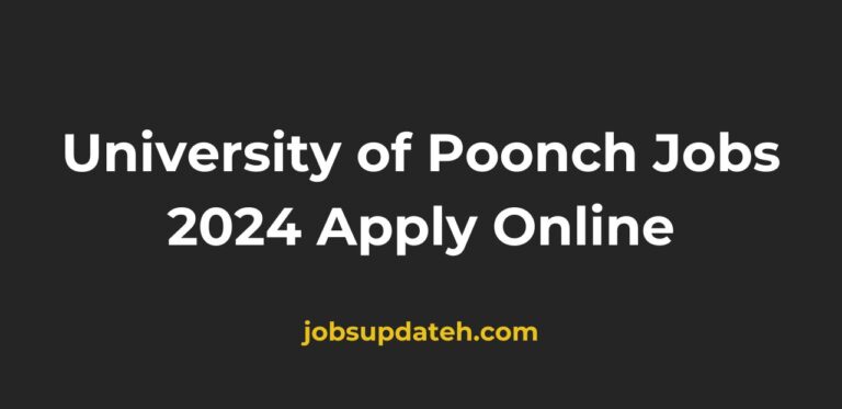 university of poonch jobs